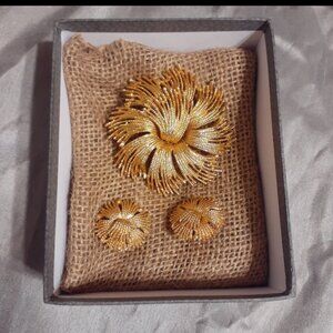 Celebrity NY Brooch and Earrings set